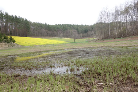 DSC01053