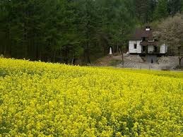 images (3)