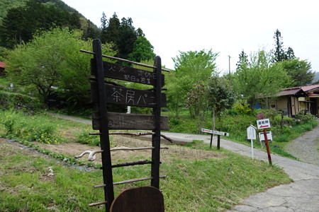 DSC01313