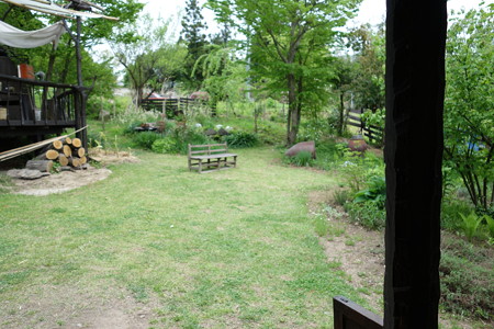 DSC01324