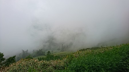 DSC_1044