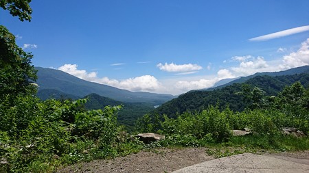 DSC_1328