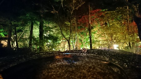 DSC_0204