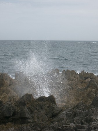 siohukiiwa1