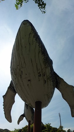 太地町のクジラモニュメント～親子の巨大クジラ像～: マーチ改め