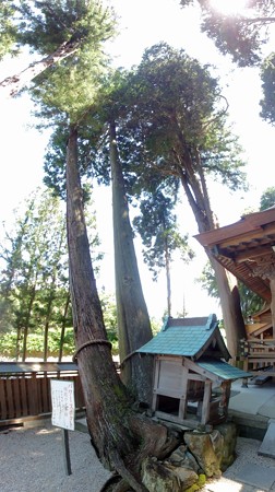 kunidujinja_p2