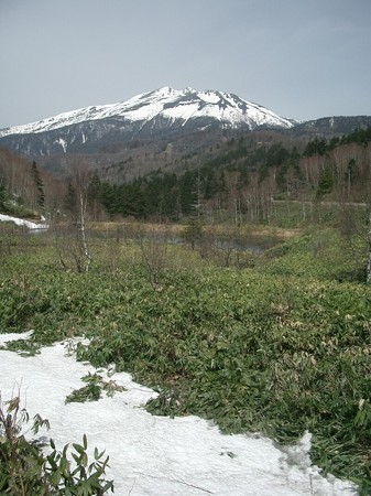 nomugitouge2