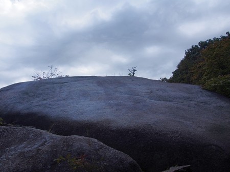 kasagitera57