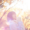 Photos: ファインダー越しの私とあなたの世界