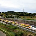 Photos: MICKEY新幹線