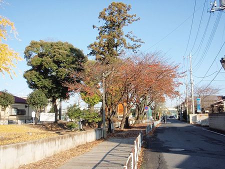 近津神社