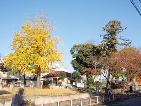 近津神社