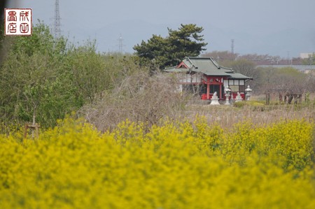 弁天島