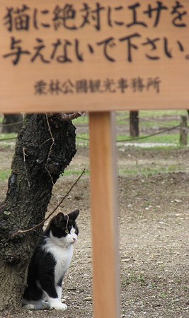 高札と白黒2号、栗林公園的禁止事項