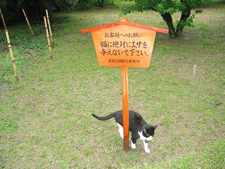 高札とハナシロ