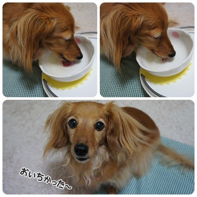 20120713 ゴクゴク♪