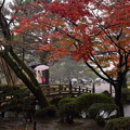 花見橋　1
