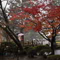 雨の兼六園　　花見橋２