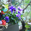 クリスマスの寄せ植え１