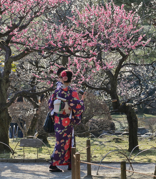 Photos: 和服の花と紅梅