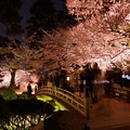 兼六園ライトアップ　花見橋