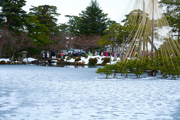 Photos: 雪の霞ヶ池　唐崎松