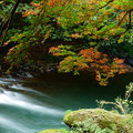 鶴仙渓（山中温泉）