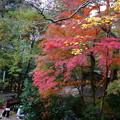 鶴仙渓（山中温泉）さくら公園