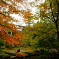 鶴仙渓（山中温泉）さくら公園