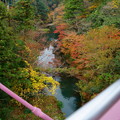 鶴仙渓（山中温泉）　あやとり橋から
