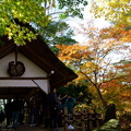 Photos: 兼六園　山崎山　あずまや