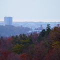 奥卯辰山健民公園から　紅葉