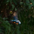 Photos: DSC07253