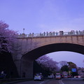 夕暮れの石川橋