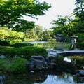新緑の兼六園    霞が池　徽軫灯籠と虹橋