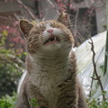 Photos: ある日のねえ様(4)
