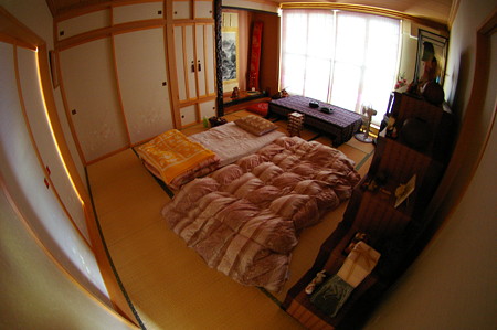 IMGP4354