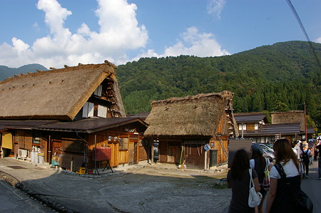 IMGP0890
