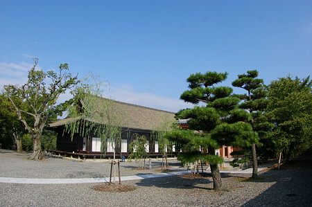 IMGP1932