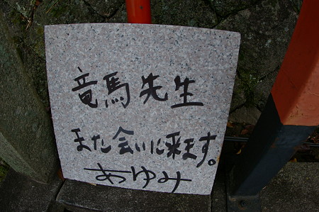 IMGP2107