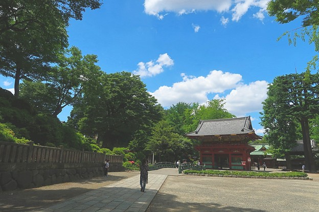 根津神社20180601