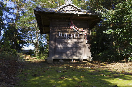 桶川の山王大権現02
