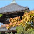 Photos: 初秋