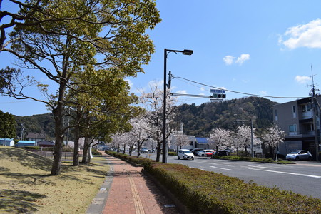 敦賀市内の写真0179