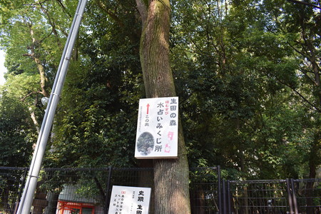 神戸市内の写真0026