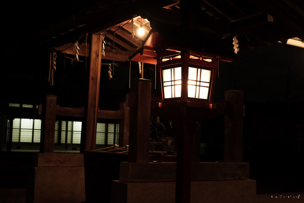 Photos: 武蔵野神社_手水舎-5563