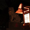 武蔵野神社_狛犬-5561