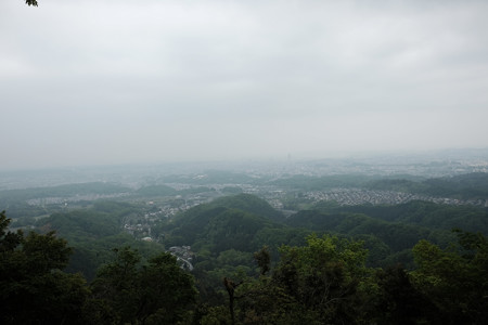 X70_-八王子城_11_９合目-0574