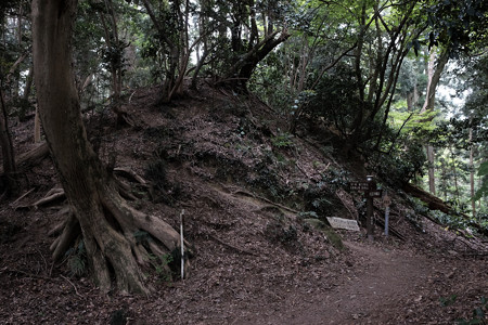 X70_八王子城_27_詰城への道-0616