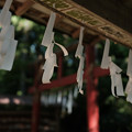上之台稲荷神社_手水舎-7918